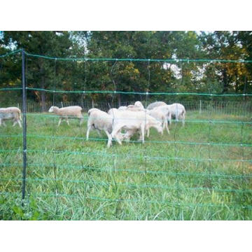 Precio competitivo Red de cercas de ovejas / Cercas de ovejas